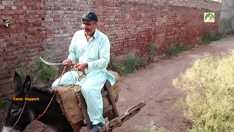 Farmar works in pakistan