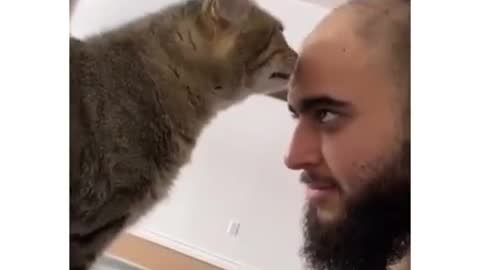 funny cat vs human