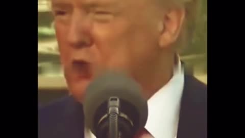 How media treated President Trump vs Biden 3