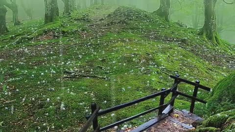 Ice Dropped in Rainy