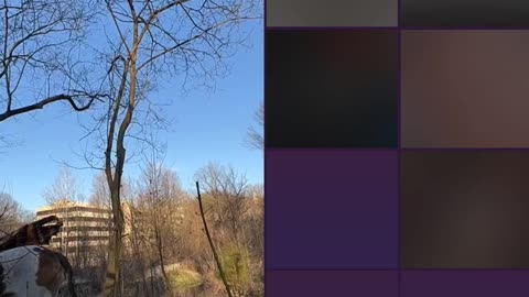 TikTok LIVE Saturday 3/16/24