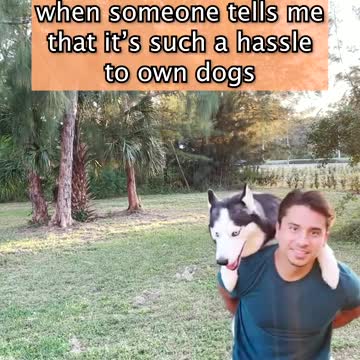 compilation | baby animals 79 | cute animals 79 | kids #shorts