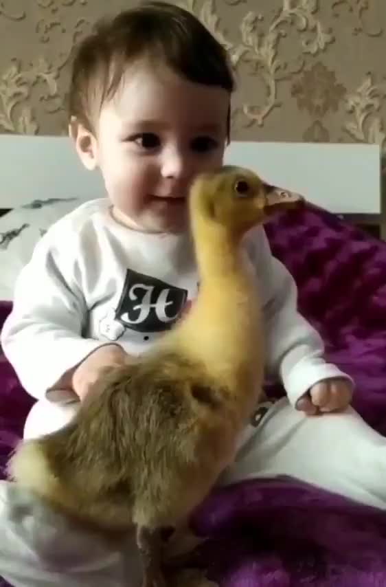 So cut kids fanny video kids play with cute animal