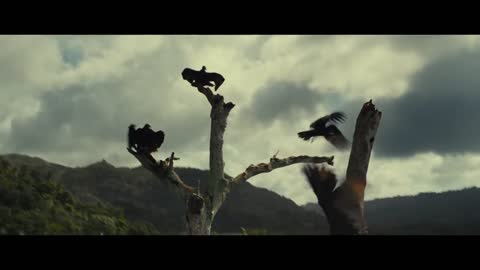 Old - Official Trailer [HD] - MOVIESSHOW