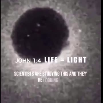 The Spark of Life Proven!