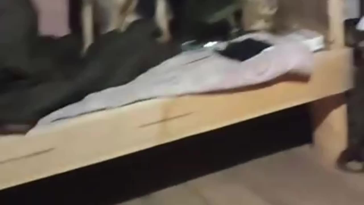 Ukrainians Adopt the Random Stray Dogs and Cats that Show Up to Their Bunker