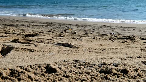 Mégot de cigarette sur la plage vidéo Plage, Cigarette, Cendrier, Mer, Questions liées au tabagisme