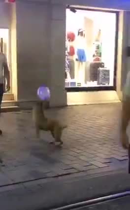 Aww such a happy baby ❤️❤️