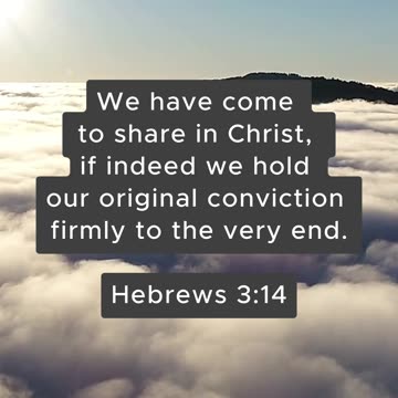 Bible Verse of the Day: August 16, 2024