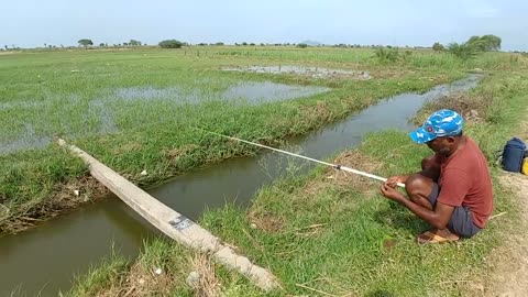 Fishing||incredible fishing video||Catching monster fish with single(big)hook||In flood water