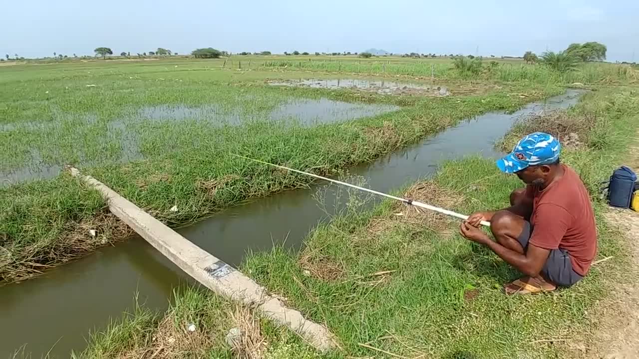 Fishing||incredible fishing video||Catching monster fish with single(big)hook||In flood water