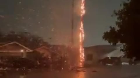 Palm Tree Struck by Lightning