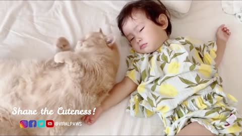 Little Girl Bonding With Her Cat Will Bring You Joy