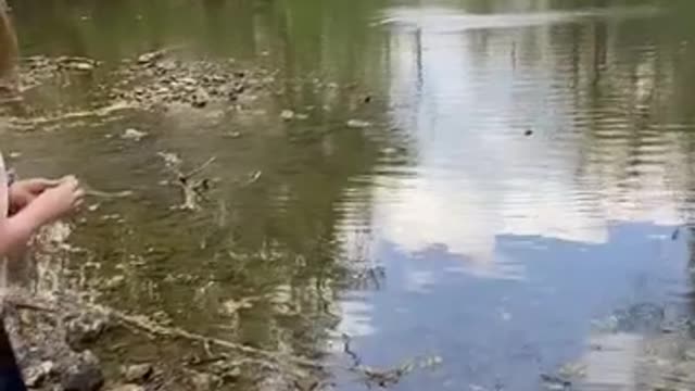 skipping rocks