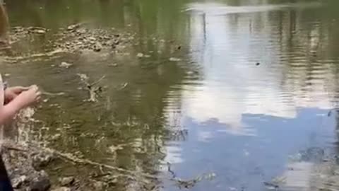 skipping rocks