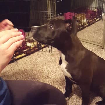 Learning a New Trick