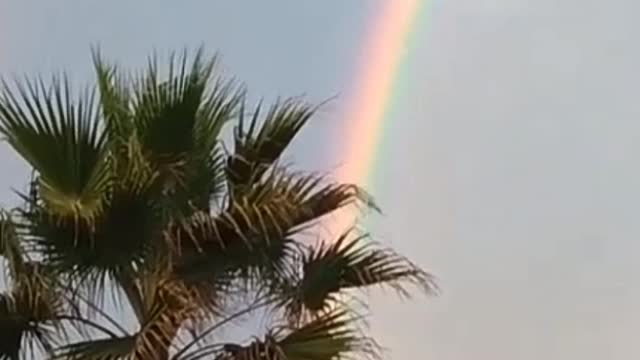 always a delight to see a rainbow after the rain