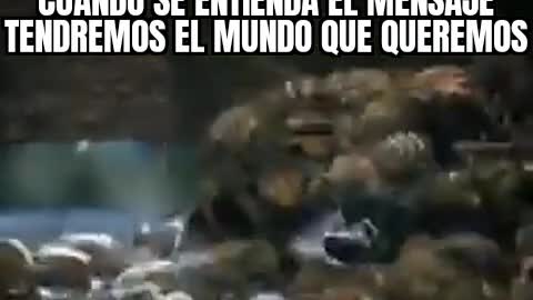 Este debe ser el mensaje