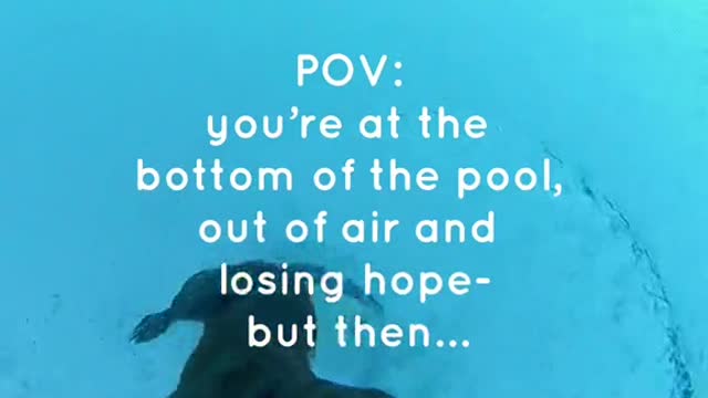 POV: you're at the bottom of the pool,