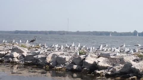 BRIGHTON ONTARIO CANADA .