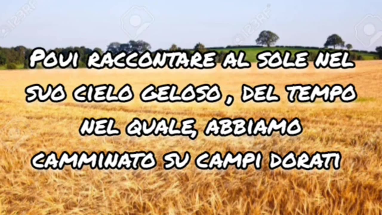 Fields of gold" - Sting (1993) - traduzione in italiano