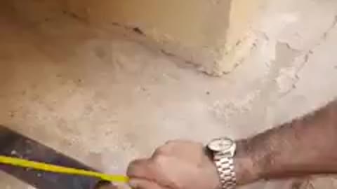 Man saving stuck a cat