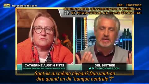 Catherine Austin Fitts : Le virus n’est qu’un écran de fumée, le coup d'état financier des banques !
