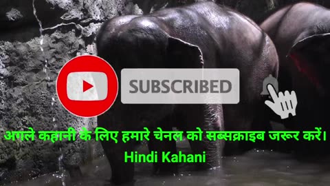 हाँथी और चतुर खरगोश की कहानी