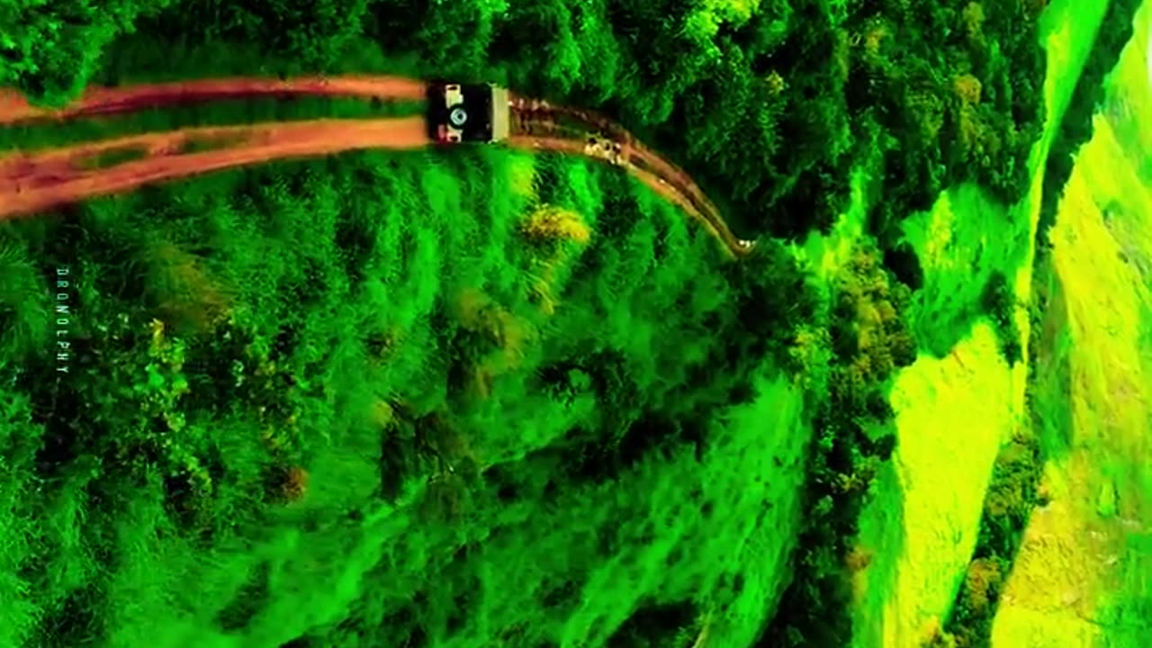 Exploring Nadukani Estate: Wayanad's Natural Beauty 🏞️