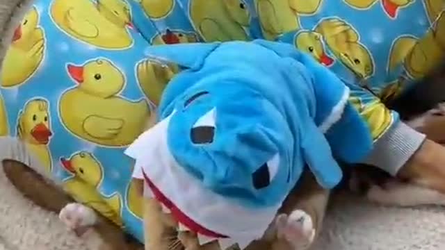 ❤❤❤❤❤❤❤❤❤❤❤❤❤❤❤❤❤