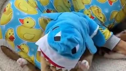 ❤❤❤❤❤❤❤❤❤❤❤❤❤❤❤❤❤