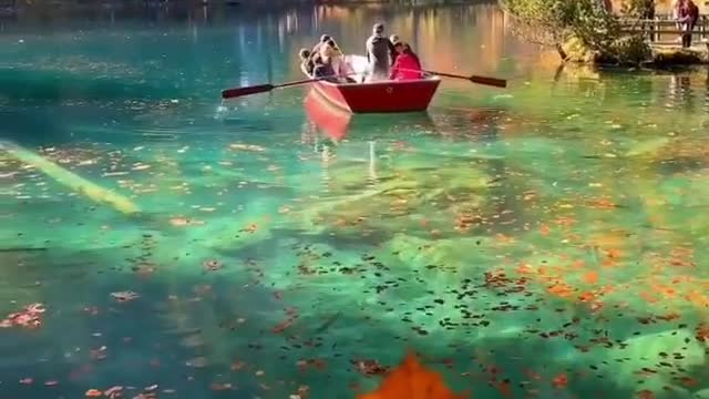 Amazing Clear Water Happy Good Vibes