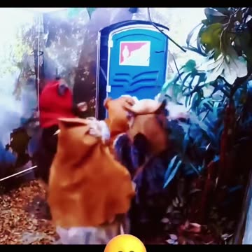 Dimension toiler prank