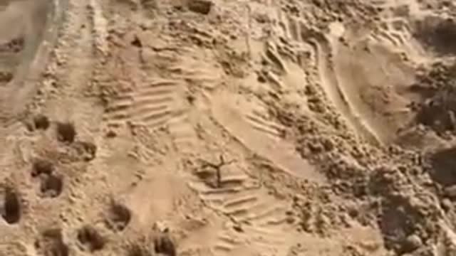 Funniest_cat_and_dog_video!! Part 13