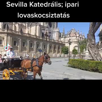 Spanyol csapatás 41 - Lovaskocsi