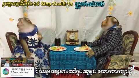 The monkey eat food
