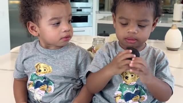 Giving our twins one Oreo to see if they will share