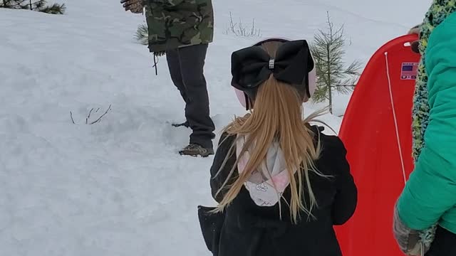 Dad vs Bug in the snow