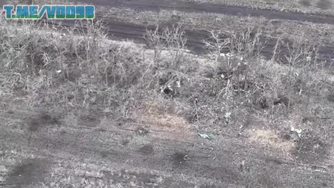 Russian FPV drones attack a Ukrainian positions near Bohdanivka