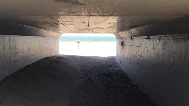 ウインドサーフィン 逗子海岸