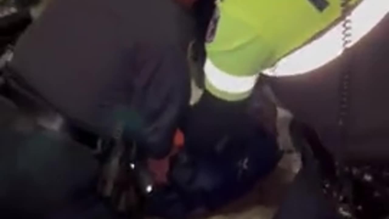 NYC Pro-Palestine Protestors Have Heated Encounter With Police