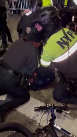 NYC Pro-Palestine Protestors Have Heated Encounter With Police