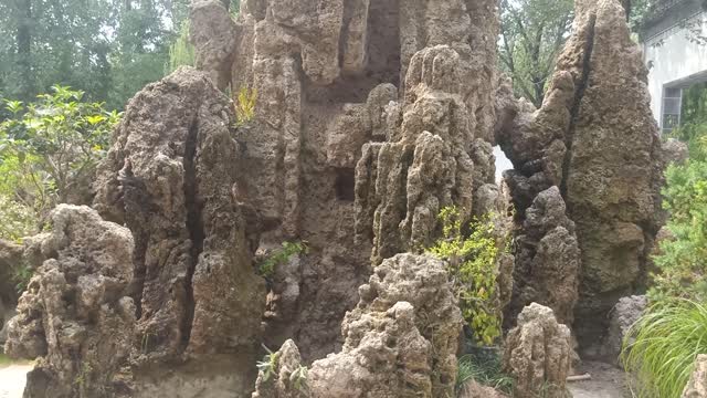 This rockery is overgrown with plants