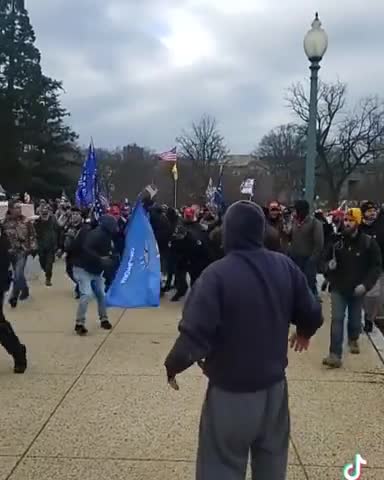 Washington DC capital police open gates willingly to protesters your