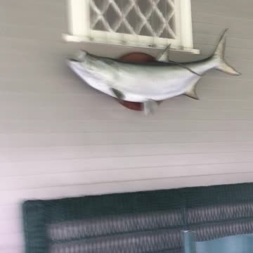 Thomas Edison's Family Loved Fishing