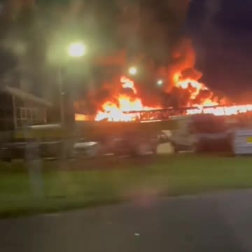 1325. NETHERLANDS 🇳🇱 Bill Gates New-age foods market BURNS‼️✊🏼