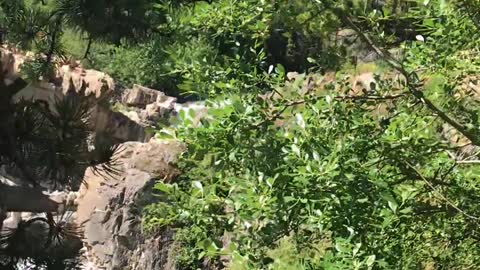 2018.07.16 River Near Many Glacier Glacier National Park