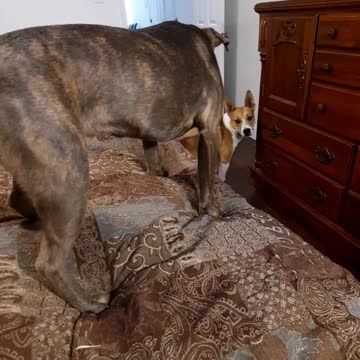 Tucker Carlson Gets It In The End