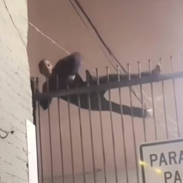 When you’re a thief but your escape donesn’t go as planned