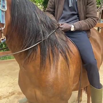 Khabane lame Bro I’m sorry but My horse is better than yours